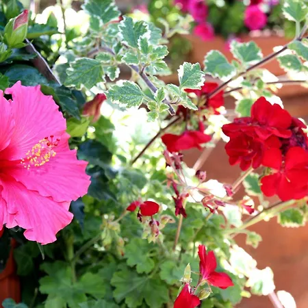 ***villa Prestige**** * 카폴리베리