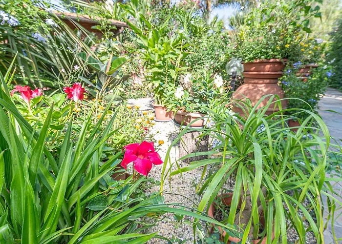 ***villa Prestige**** * קאפוליברי