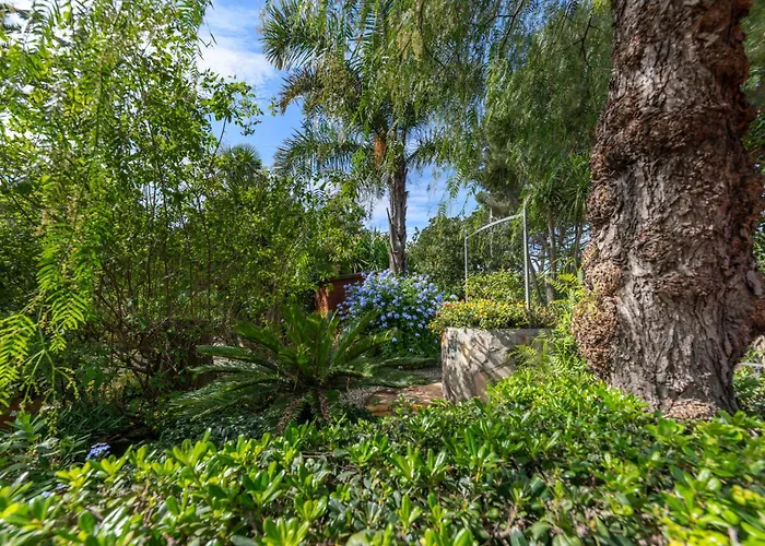 דירה ***villa Prestige**** *