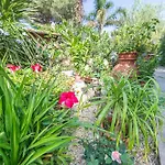 ***villa Prestige**** * Capoliveri (Isola d'Elba)