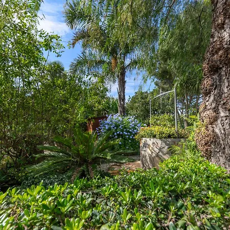 Appartement ***villa Prestige**** *